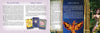 Two pages from Magical Dimensions Oracle Cards and Activators by Schiffer Publishing, Ltd.: The left page features The Galactic Family, Chakras/Crystals, and four illustrated affirmation cards; the right shows Sacred Color Rays, a fiery phoenix, and a fairy-like woman.