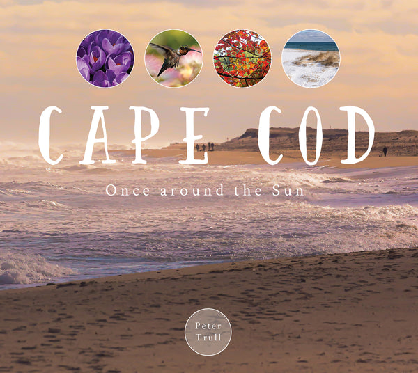 Cape Cod – REDFeather