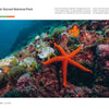 A bright orange starfish rests on a colorful reef off Croatia’s Dalmatian Coast, as featured in The Colors of the Earth by Schiffer Publishing, Ltd., surrounded by corals, sea plants, and sponges in Kornati National Park.