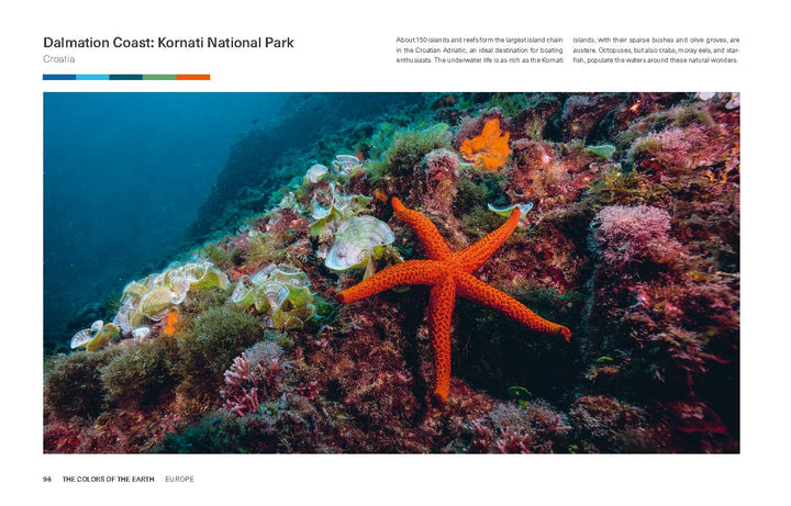 A bright orange starfish rests on a colorful reef off Croatia’s Dalmatian Coast, as featured in The Colors of the Earth by Schiffer Publishing, Ltd., surrounded by corals, sea plants, and sponges in Kornati National Park.