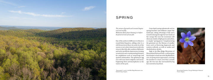 A forested landscape in The Central Appalachians by Schiffer Publishing, Ltd. spans rolling hills under a blue sky; a close-up of a violet flower on the right highlights spring's biodiversity alongside seasonal text.