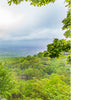 A bearded older male hiker with a large backpack stands on a rocky overlook in the Central Appalachians; inset: Appalachian Trail sign at Springer Mountain, Georgia. Product: The Central Appalachians by Schiffer Publishing, Ltd.