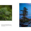 Three nature photos from "The Central Appalachians" by Schiffer Publishing, Ltd.: a sunset tree silhouette, pine needles close-up, and a rocky overlook with trees below a blue sky—capturing this region's rich biodiversity.