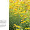 Capture the rich biodiversity of The Central Appalachians by Schiffer Publishing, Ltd., with sunrise views of rocky cliffs, lush greenery, vibrant yellow wildflowers, and a monarch butterfly in this stunning nature photography.