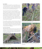 A page from "Core Bushcraft" by Schiffer Publishing, Ltd. shows photos and step-by-step instructions for making open shelters using sticks and branches, with labels on the framework—ideal for practicing key bushcraft skills.