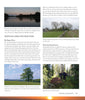 A page from "Core Bushcraft" by Schiffer Publishing, Ltd. shows photos of forests, trees, and water with text on bushcraft skills like tree orientation and direction clues in boreal forests. Page 199 appears at the bottom.