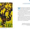 Gnarled grapevines in the Vineyards of Napa Valley rise from a field of bright yellow mustard flowers.