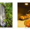 An oval wooden barrel surrounded by ivy sits near a dim wine cellar tunnel, an image from Vineyards of Napa Valley capturing the essence of the region’s vineyards.