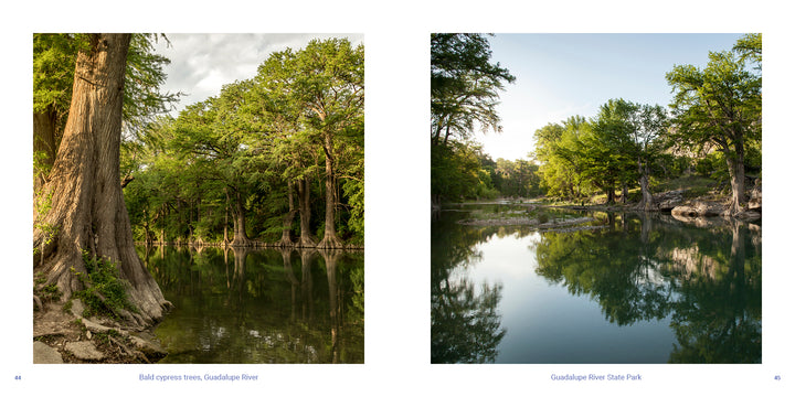 Two photos of the Guadalupe River lined with bald cypress trees from Texas Hill Country, capturing the beauty of scenic Texas.