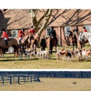 A group in red jackets on horseback with hounds stands on grass before a brick building, evoking Chester County’s charm—featured in "Barns, Farms, and Rolling Hills of Chester County" by Schiffer Publishing, Ltd. A field and a lone bird complete the scene.