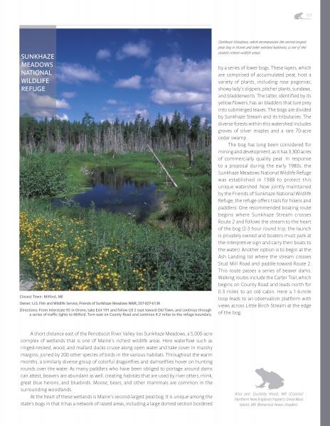 Capture the beauty of Sunkhaze Meadows National Wildlife Refuge—a lush wetland with yellow wildflowers and a winding boardwalk—featured in New England's Natural Wonders by Schiffer Publishing, Ltd., ideal for nature lovers and photographers.