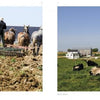 A man works on a farm in Chester County, Pennsylvania’s scenic Brandywine Valley.