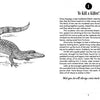 On the left is a black and white crocodile illustration. On the right, "To Kill a Killer!"—a fable from "50 Famous Fables and Folk Tales" by Schiffer Publishing, Ltd.—is shown under a large number 1, with a handwritten quote below.