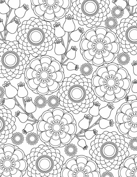 Bloom" by Schiffer Publishing, Ltd. features black and white floral patterns with detailed flowers and buds—an ornate background, inspired by nature, perfect for floral coloring books.