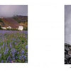 On the left, purple wildflowers bloom beneath snowy peaks near Newberry National Volcanic Monument. On the right, a lone pine stands on rocky ground. From "Central Oregon" by Schiffer Publishing, Ltd.