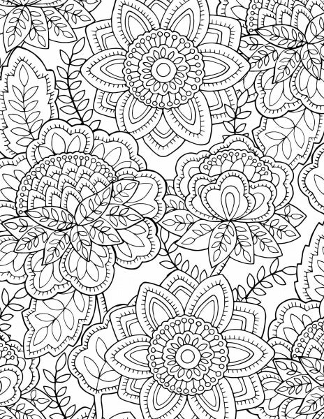 “Bloom” by Schiffer Publishing, Ltd. features an intricate black and white floral pattern with detailed flowers and mandala-inspired designs—ideal for coloring book fans or anyone who loves nature-themed illustrations.