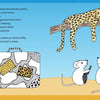 Two white mice gaze at a leopard on a tree branch, above an illustrated suitcase with animal prints. Set against a blue sky and sandy ground, this charming Zendoodle for Children book cover is from Schiffer Publishing, Ltd.