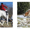 In "Brandywine Valley" by Schiffer Publishing, Ltd., one image features a person in a red coat riding a white horse among hounds outdoors, while another shows a hound running through snowy bushes.
