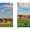 Two rural farm images from *Lancaster County: A Keepsake* (Schiffer Publishing, Ltd.) showcase the area's beauty: red barns and silos under blue skies; cows near white barns, autumn trees, and silos—capturing Amish life. Photo by Don Shenk.