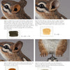 Carving Animals -- Bunnies and Chipmunks by Schiffer Publishing, Ltd. offers a chipmunk painting guide with close-up ear, eye, and ear flap color mixes in brown, black, blue, beige, and white—perfect for animal carving projects.