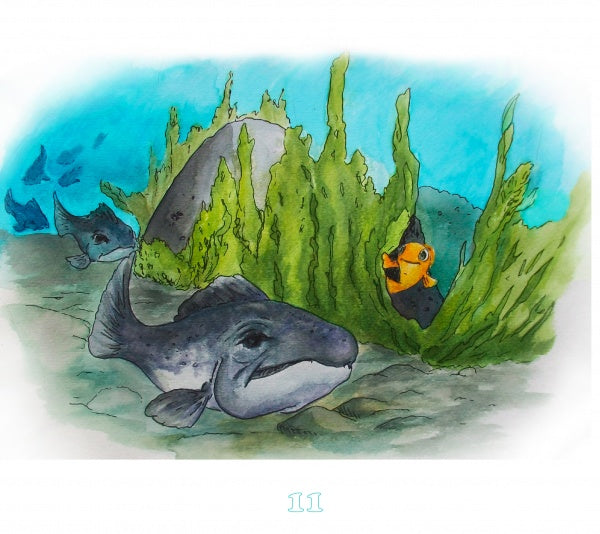A large gray fish and a small orange fish glide near seaweed and rocks in "Beyond the River" by Schiffer Publishing, Ltd.—a perfect choice for early readers ages 5-8. The number 11 appears at the bottom.