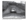 Black-and-white photo of Virginia's legendary Bunnyman Bridge, with vines and a glowing blue orb at the tunnel, from Haunted Virginia by Schiffer Publishing, Ltd.