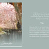 Sunlight streams into a tranquil cave, highlighting pink crystals above a peaceful pool; text: TLC for the Soul by Schiffer Publishing, Ltd.—uplifting messages from a 33-card deck to inspire discovery of your hidden talents.