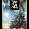 A unique Lenormand Cartomancy card by Schiffer Publishing, Ltd. shows a windswept tree, radiant white light, swirling patterns, two circles with the number 5, and seven colorful heart-shaped leaves—a mystical fortune-telling card.