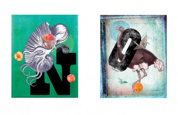 Animal Abecedary by Schiffer Publishing, Ltd. features vibrant alphabet collages—a fish, apples, and "N" on one side; an ostrich, origami crane, orange, and "O" on the other—ideal for animal alphabet book lovers or vintage engraving fans.