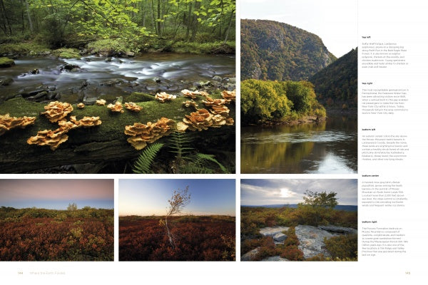 Reserves of Strength: Pennsylvania's Natural Landscape by Schiffer Publishing, Ltd. features a collage of PA nature photography—forest streams with mushrooms, autumn rivers by mountains, and open landscapes beneath blue skies. Text appears on the right.