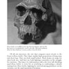 A black and white photo of a Homo habilis skull fossil, featured in "Evolutionary UFOlogy" by Schiffer Publishing, Ltd., highlights a key stage in human evolution with caption and descriptive text included beneath the image.