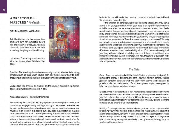 A guidebook page from Schiffer Publishing’s Body Cards covers the Arrector Pili Muscles, showcasing its art, function, chakra link, symbolic meaning, plus related meditation and activity suggestions.