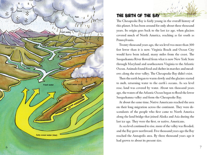 Awesome Chesapeake by Schiffer Publishing, Ltd. features an illustrated map of the bay with labeled rivers (fresh water in) and yellow arrows for salty ocean tides. Text explains its history and formation—ideal for elementary education or ecology books.