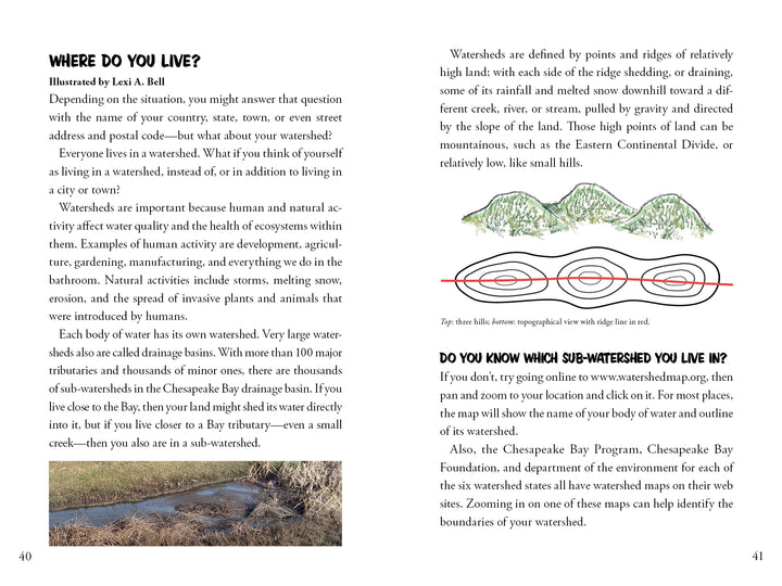 A book spread in Awesome Chesapeake by Schiffer Publishing, Ltd. explains watersheds with text and an illustration showing arrows of rainfall draining from a hill to creek, river, and Chesapeake Bay—labeling watershed (dark) and sub-watershed (light).
