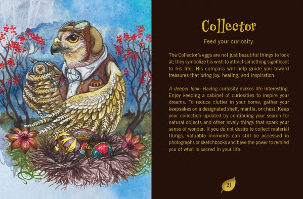 An illustrated owl with aviator goggles and a scarf sits on a berry branch. Below, a nest holds eggs, feathers, flowers, and healing cards. The artwork, titled Secret Woods, is by Schiffer Publishing, Ltd. on a dark background.