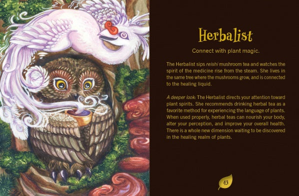 An owl with large eyes holds a teacup amid mushrooms and greenery, while a white bird perches above. Intuitive healing cards and text about herbalists and plant magic appear. Secret Woods by Schiffer Publishing, Ltd.