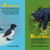 From "P Is for Puffin" by Schiffer Publishing, Ltd.: One page shows two black and white auks on snow with “A is for Auk”; opposite, a binturong lounges on a branch with “B is for Binturong”—a playful intro to endangered species.