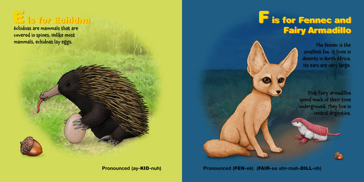 In "P Is for Puffin" by Schiffer Publishing, Ltd., a spiny echidna sits on grass with an acorn, while a fennec fox and a pink fairy armadillo, both endangered, appear on sand in this engaging alphabet book.