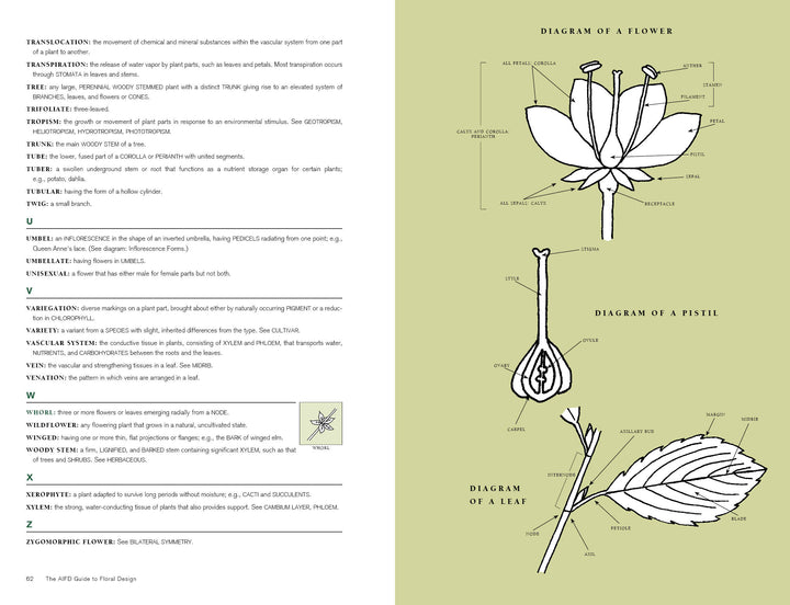 A page from "The AIFD Guide to Floral Design" by Schiffer Publishing, Ltd., featuring text and floral design drawings.