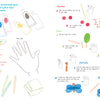 The "Finger Painting with Lili Activity Book" by Schiffer Publishing, Ltd. includes art supplies, a hand outline, and easy instructions to create cherries, trees, and a butterfly in red, green, blue, and yellow using simple finger painting techniques.